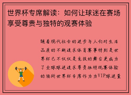 世界杯专席解读：如何让球迷在赛场享受尊贵与独特的观赛体验