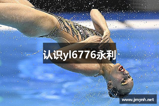 认识yl6776永利